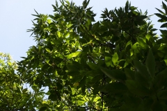 Naturaleza y vida en el Ango de verano 2020