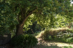 Naturaleza y vida en el Ango de verano 2020