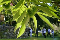 Naturaleza y vida en el Ango de verano 2020