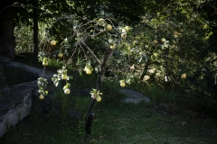 Naturaleza y vida en el Ango de verano 2020