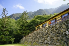 Naturaleza y vida en el Ango de verano 2020