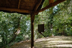Naturaleza y vida en el Ango de verano 2020