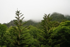 Naturaleza y vida en el Ango de verano 2020