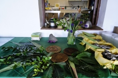 Naturaleza y vida en el Ango de verano 2020